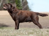 10-apr-2012-grand-prix-gorska-fantazja-pako-6-ye