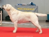 leo-10-march-2012