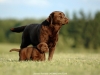 mom-time-jolli-okeanas-http-www-okeanas-lt