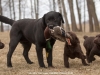 moments-from-the-hunting-school