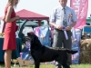 multi-ch-paunvere-black-diamond-bruno-95-years