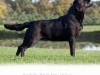 nikko-http-okeanas-lt-niko-html-co-owner-gorska-fa