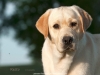 orestes-gf-resto-15-months-co-owner-beata-radoms