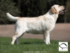 orestes-gorska-fantazja-resto-14-months-male-co-3115903504641