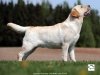 orestes-gorska-fantazja-resto-14-months-male-co-3163360291031