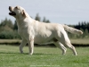 our-inter-champion-today-pregnant-kanga-gf-oki-h