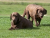our-strong-ladies-today-gabi-mom-and-jolli-d