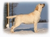 today-kalina-gorska-fantazja-kami-35-months-aft