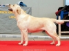 weekend-moments-inter-champion-kanga-gorska-fantaz