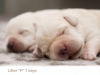 brothers-large-http-postimage-org-image-18oqd7gp0