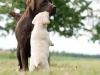 give-me-kisssssssssssssss-picaso-okeanas-e