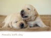 lovely-females-today-3-3-3-3-3-3-3-3-3-3-3-3-large