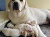 oki-very-good-and-caring-mom-3th-day