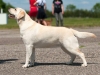 pandora-okeanas-elite-ani-12-months