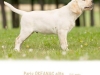 paris-okeanas-elite-105-weeks-http-okeanas-lt-vad