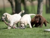 playtime-1915731261085