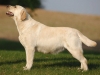 pregnancy-65-weeks-mother-kanga-gorska-fantazja