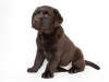 today-female-nr-3-65-weeks-available-http-postima-2569033153224
