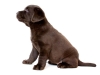 today-female-nr-3-65-weeks-available-http-postima