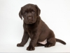 today-female-nr-3-65-weeks-http-postimage-org-ima