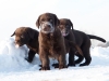 today-first-time-outside-8-weeks-http-www-okean