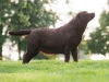 jolli-okeanas-4-years-http-www-okeanas-lt-jolli-ht