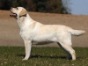 kanga-gf-oki-15-may-2010-alytus-lithuania-cac