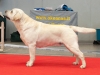 leo-10-march-2012