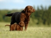 mom-time-jolli-okeanas-http-www-okeanas-lt