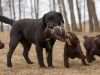 moments-from-the-hunting-school