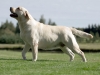our-inter-champion-today-pregnant-kanga-gf-oki-h
