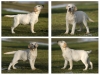 our-youngster-today-john-galliano-gorska-fantazja