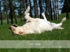 relax