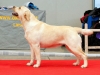 weekend-moments-inter-champion-kanga-gorska-fantaz