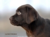 9-weeks-12-2009