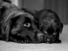 mam-and-me