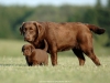 mom-and-son