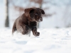 winter-memories-www-okeanas-lt